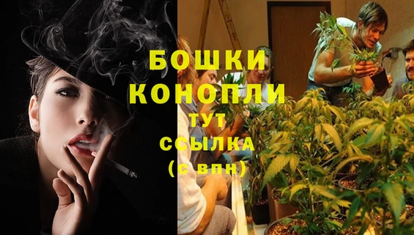 марки nbome Новозыбков