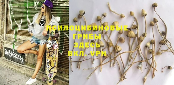 эйфоретик Новокубанск