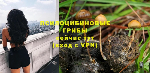 эйфоретик Новокубанск