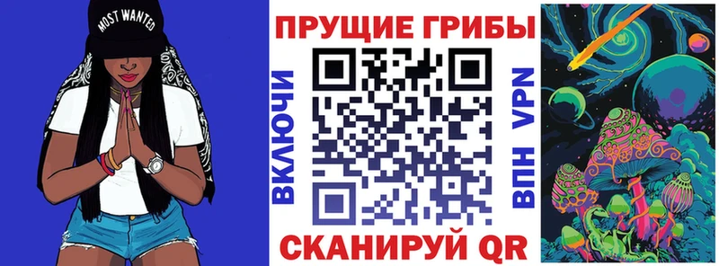 МЕГА ссылка  наркошоп  Никольск  Псилоцибиновые грибы ЛСД 